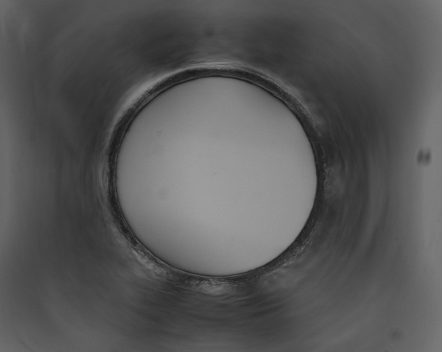 X0000089401319200707131732