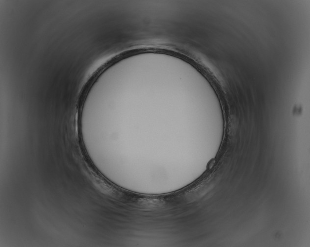 X0000089401320200707131732