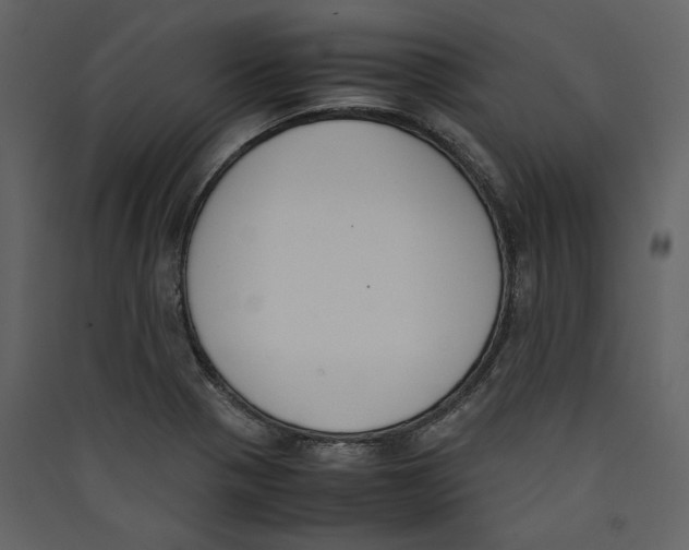 X0000089401321200707131732