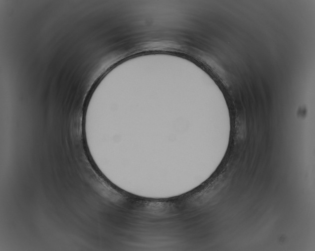 X0000089401322200707131732