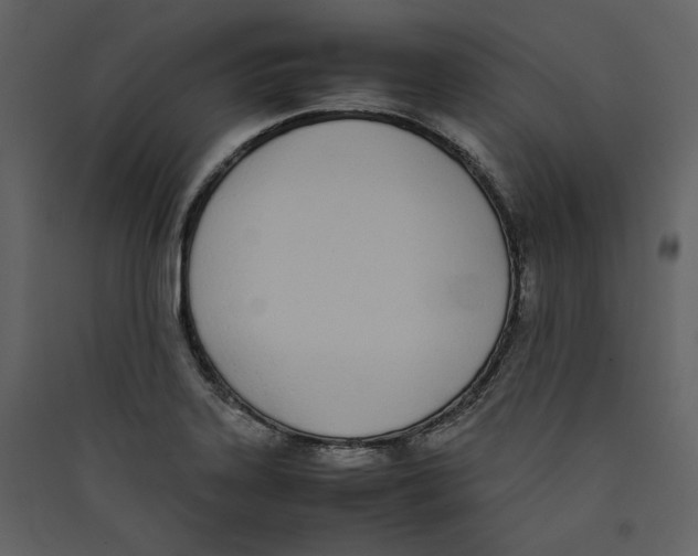 X0000089401323200707131732