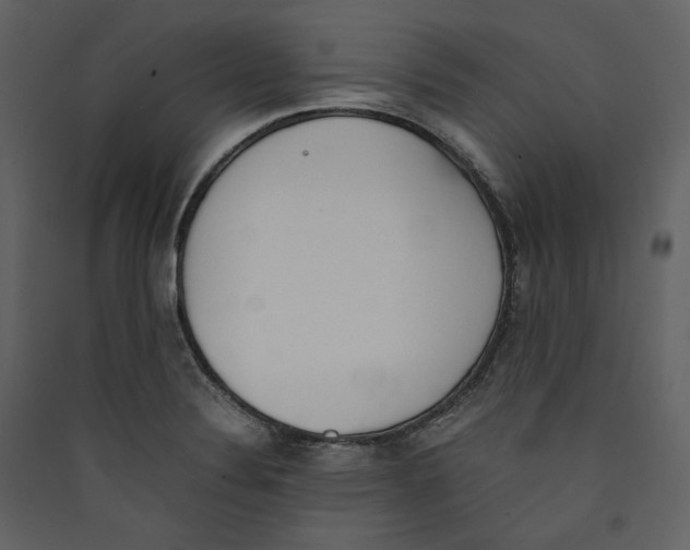 X0000089401324200707131732