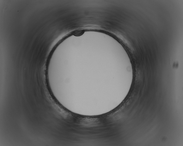 X0000089401325200707131732