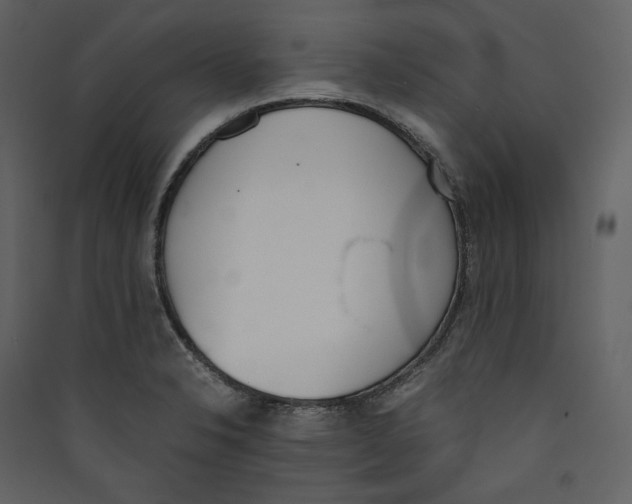 X0000089401326200707131732