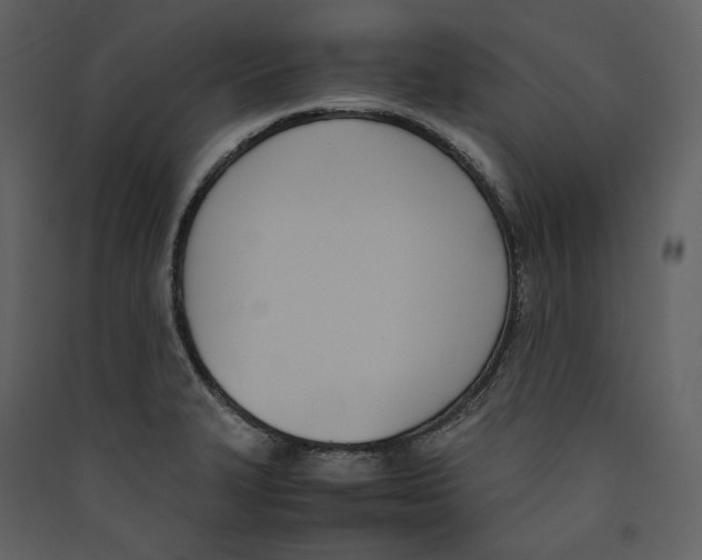 X0000089401327200707131732