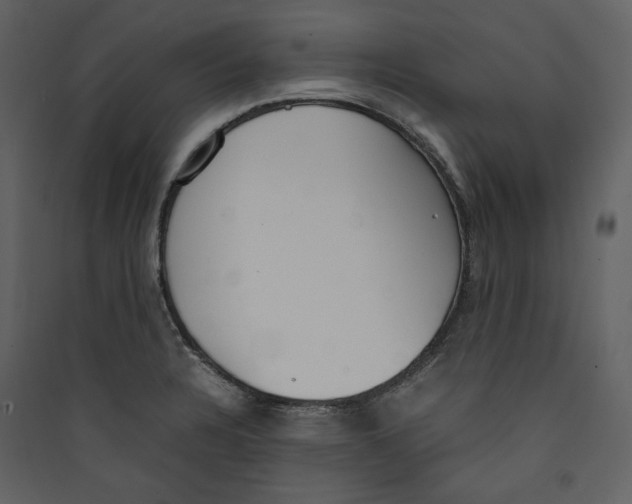X0000089401328200707131732