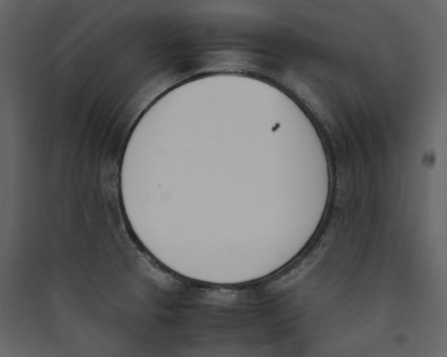 X0000089401329200707131732