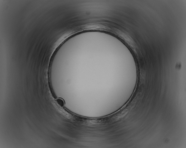 X0000089401330200707131732