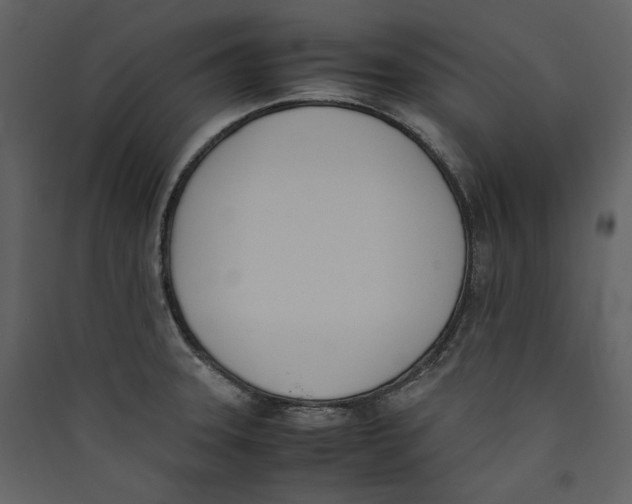 X0000089401331200707131732