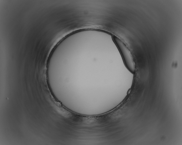X0000089401332200707131732