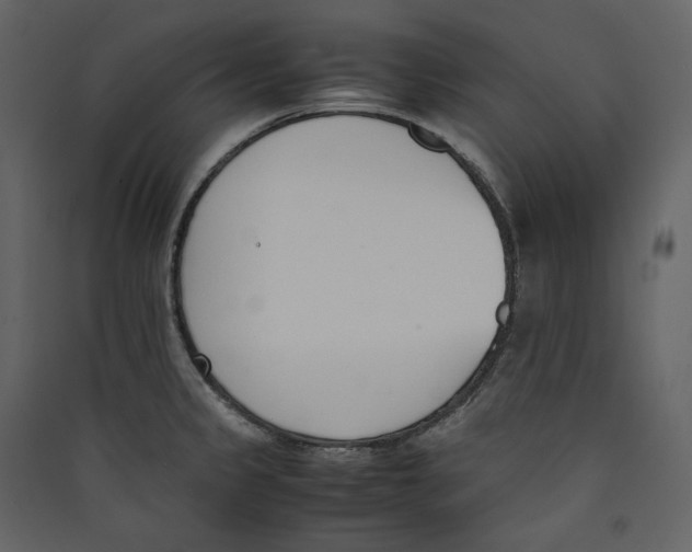 X0000089401333200707131732