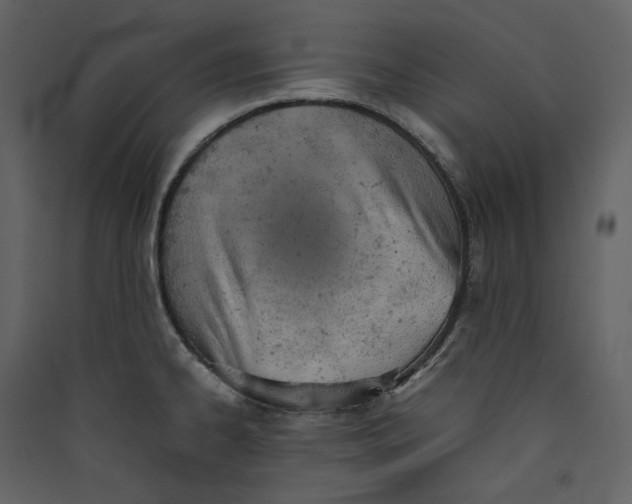 X0000089401334200707131732