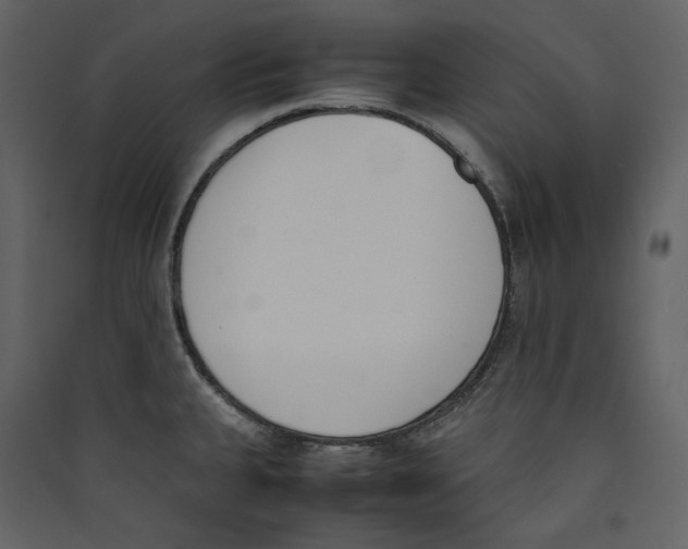 X0000089401335200707131732