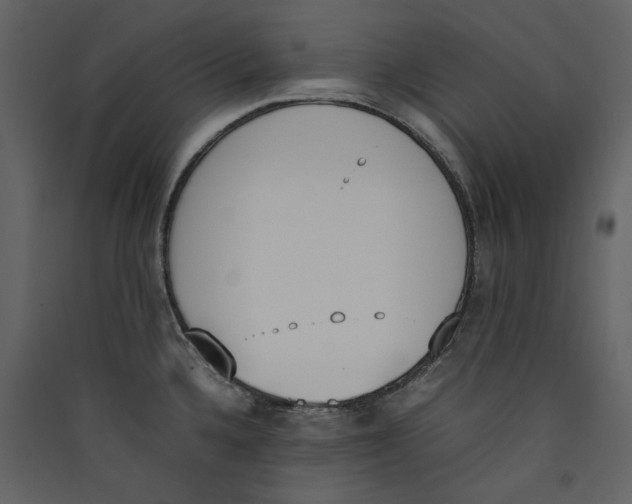 X0000089401336200707131732