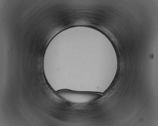X0000089401337200707131732