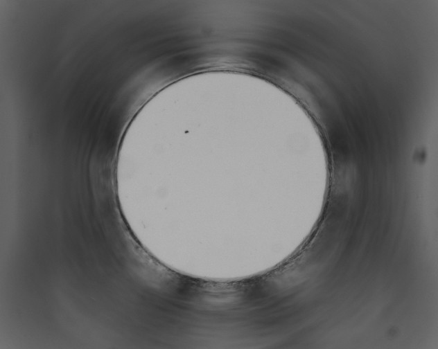 X0000089401338200707131732