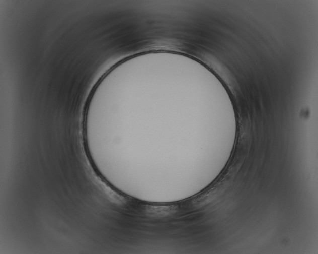 X0000089401339200707131732