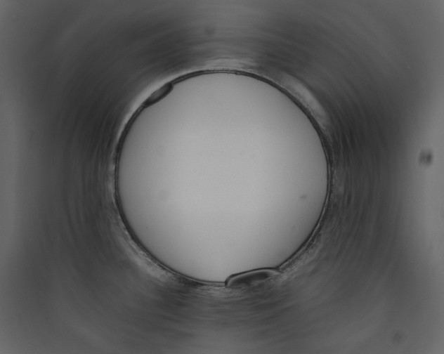 X0000089401340200707131732