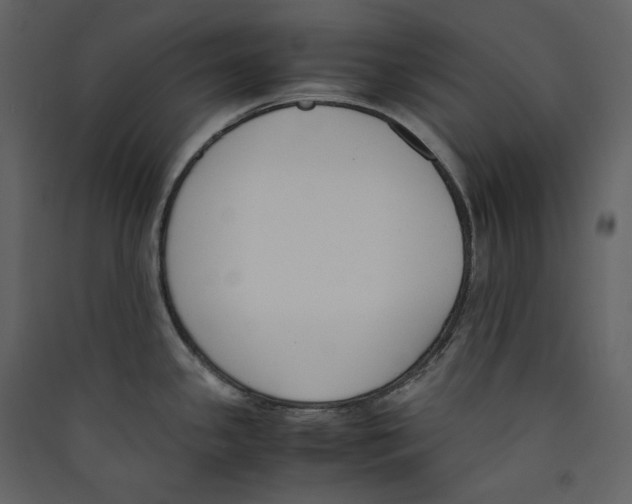 X0000089401341200707131732