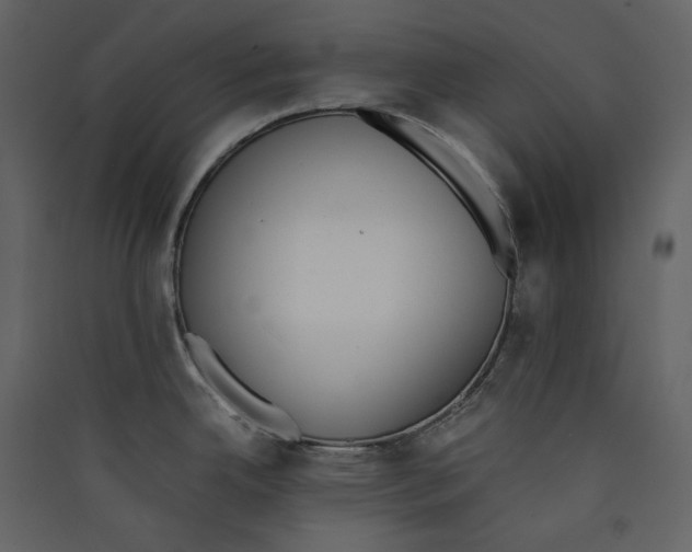 X0000089401342200707131732