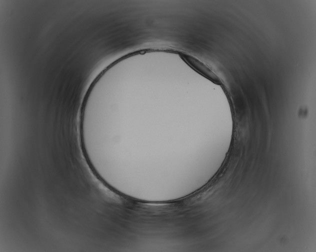 X0000089401343200707131732