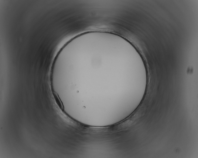 X0000089401344200707131732