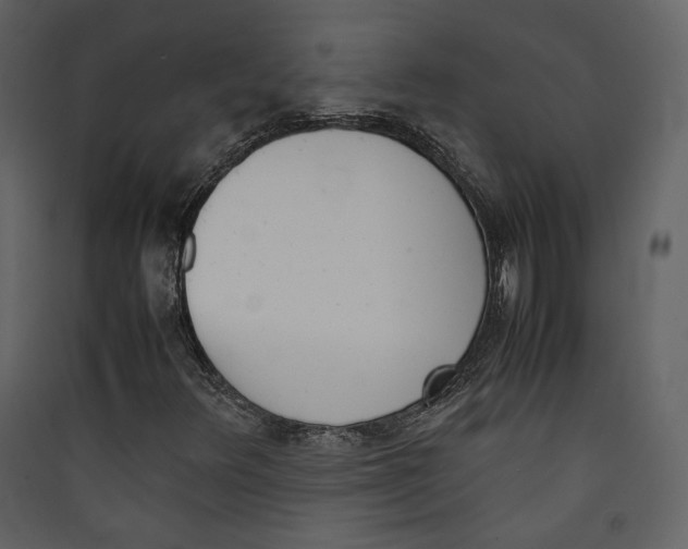 X0000089401348200707131731