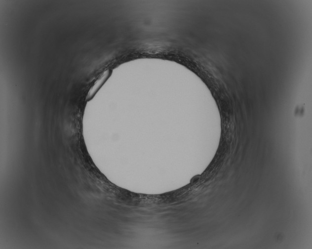 X0000089401349200707131731