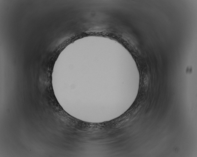X0000089401350200707131731