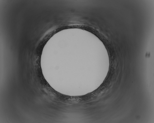 X0000089401351200707131731
