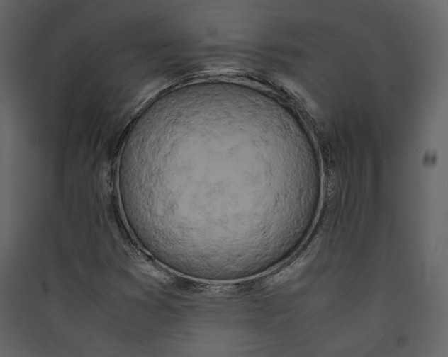 X0000089401353200707131731