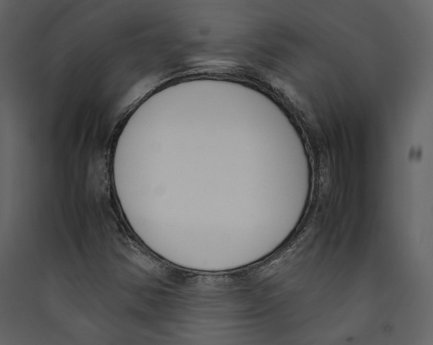 X0000089401354200707131731
