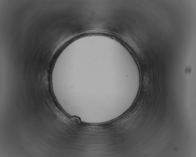 X0000089401356200707131731