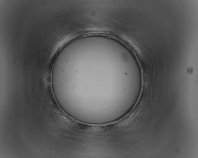 X0000089401357200707131731