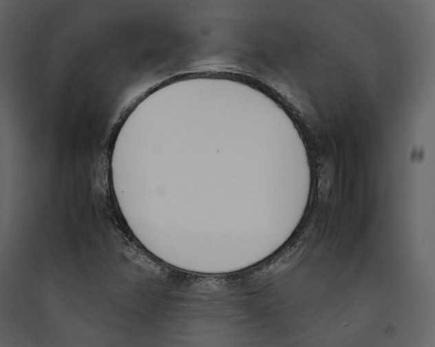 X0000089401358200707131731