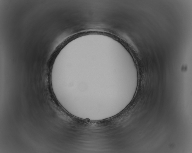 X0000089401360200707131731