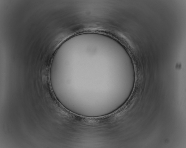 X0000089401361200707131731