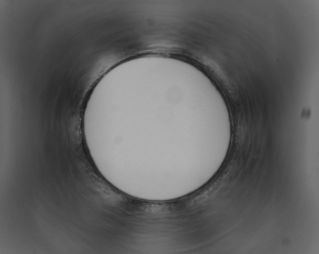X0000089401362200707131731