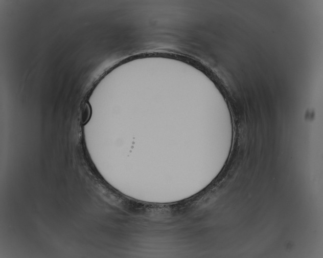 X0000089401363200707131731