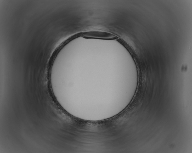 X0000089401364200707131731