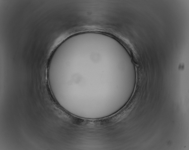 X0000089401365200707131731