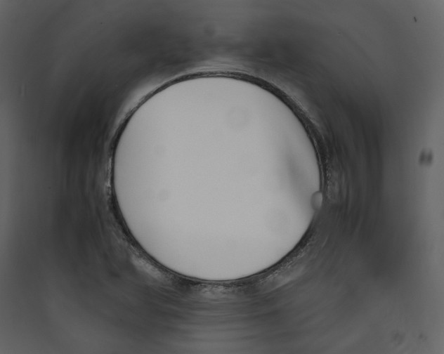 X0000089401366200707131731