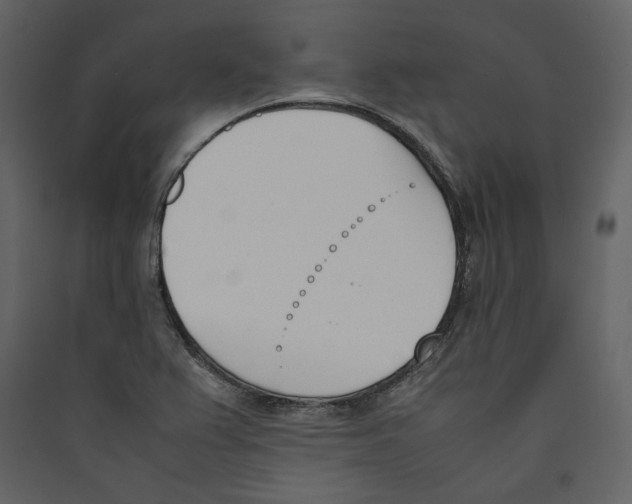 X0000089401367200707131731