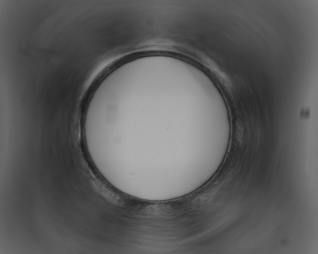 X0000089401368200707131731