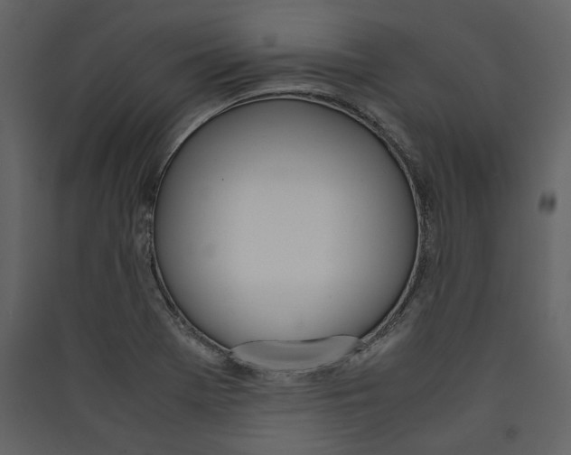 X0000089401369200707131731