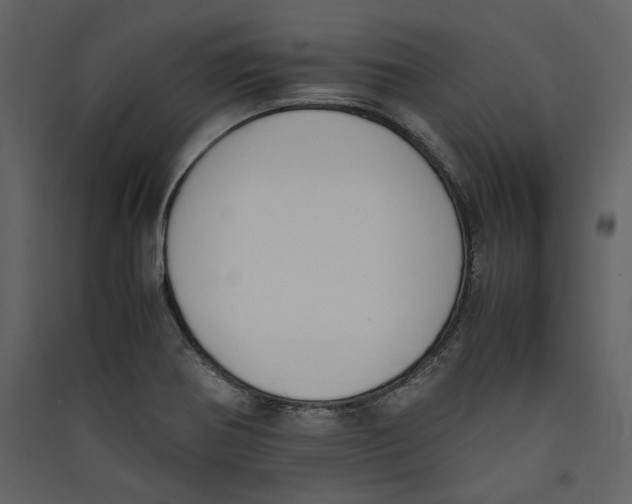 X0000089401370200707131731