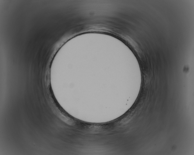 X0000089401371200707131731