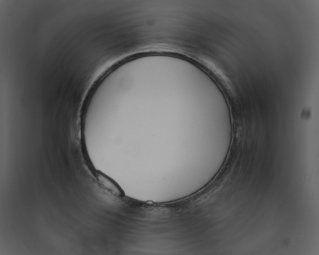 X0000089401372200707131731