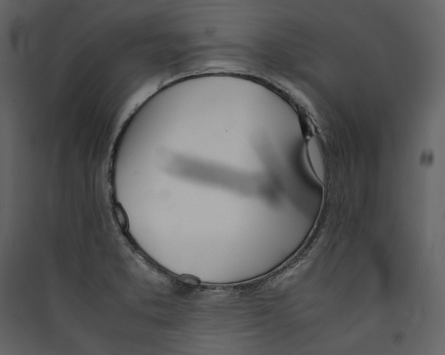 X0000089401373200707131731