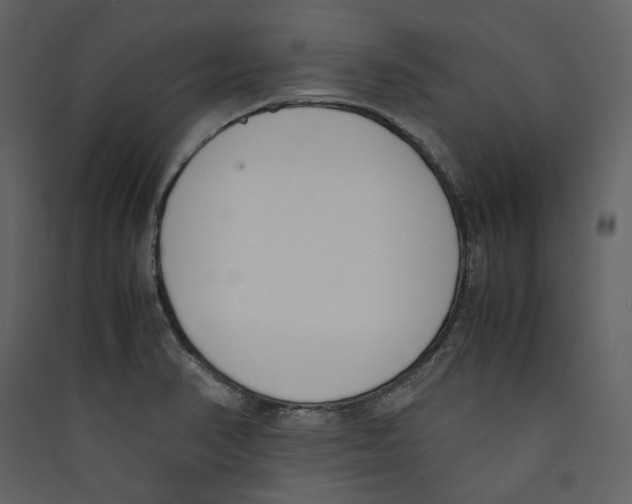 X0000089401374200707131731